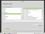 Linux Mint 10 Installer